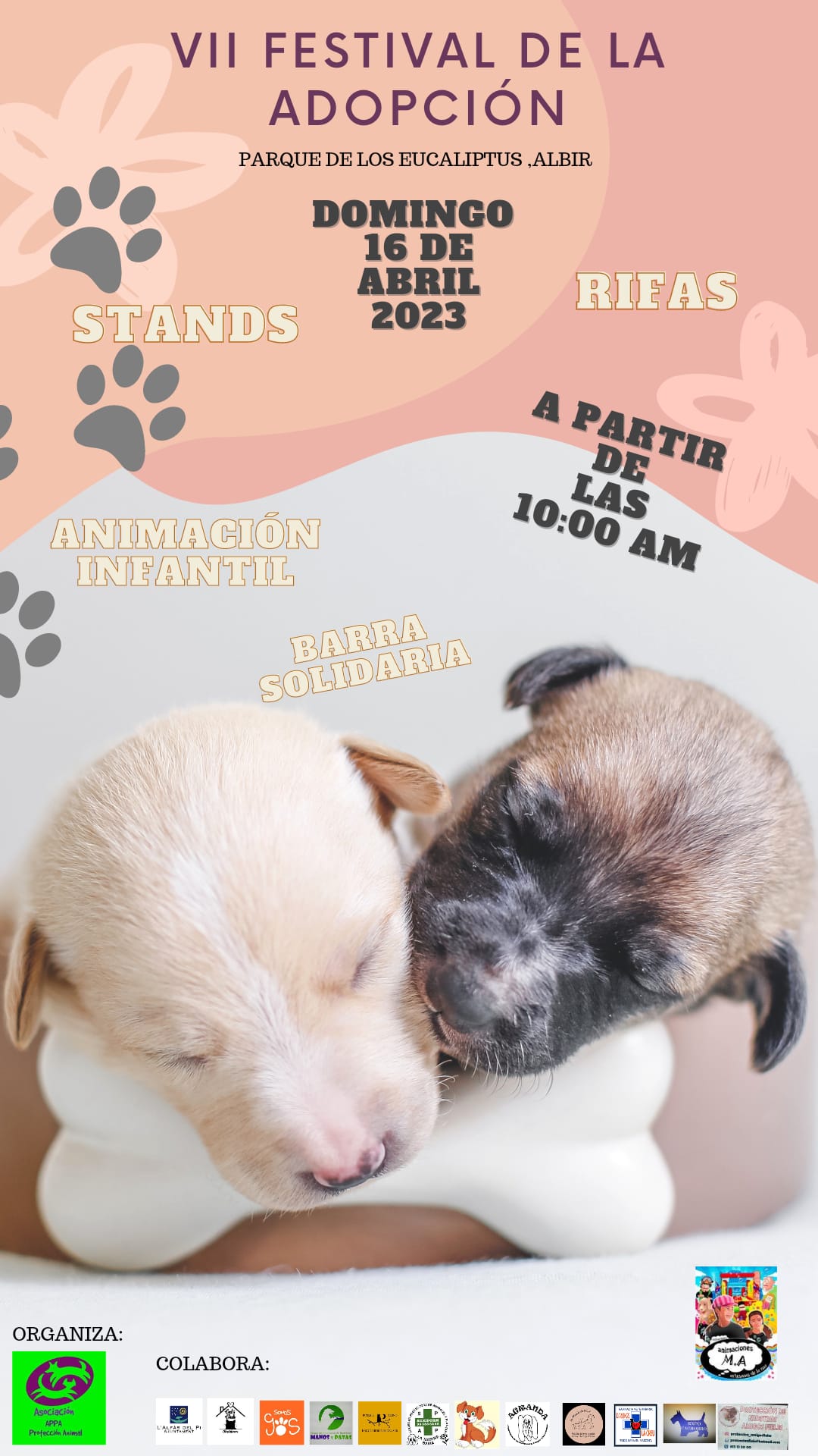 Protección Animal_festival de la adopción carteles (1)